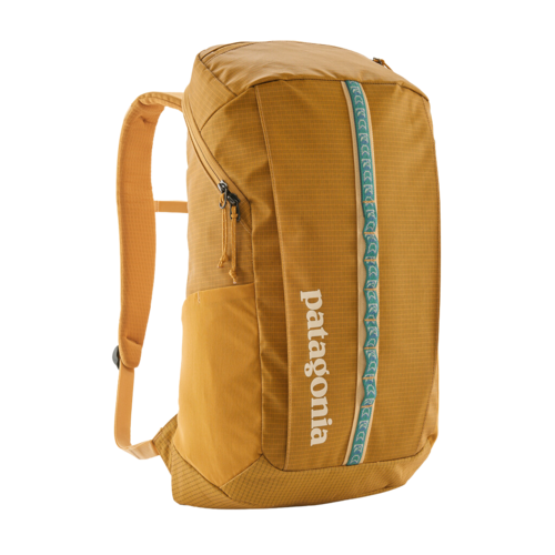 patagonia fish print backpack Stealth 25L The water Patagonia Sweet Fish Pack for