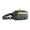 Patagonia Ultralight Black Hole Mini Hip Pack